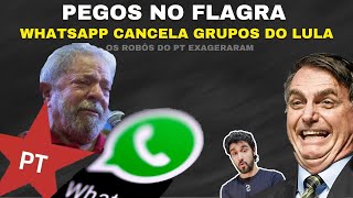 ACABOU A FARRA! WhatsApp Perde a Paciência Com Petistas!
