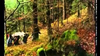 les VRP   la Grosse Papille