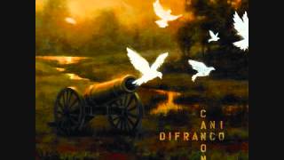 Ani DiFranco &quot;The Next Big Thing&quot;