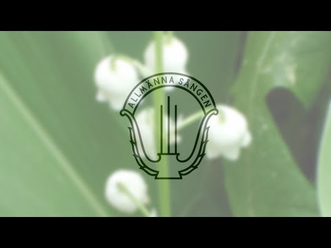 Kung Liljekonvalje - Allmänna Sången