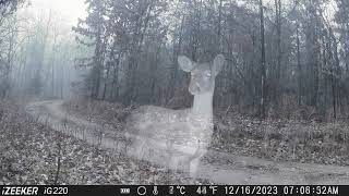 Trail Cam Tuesday - January 23, 2024