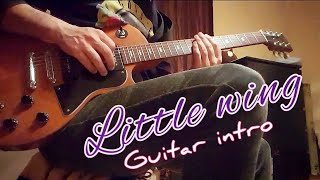 Video thumbnail for Little wing intro - Gibson Les Paul Special P100 by Ricky rage