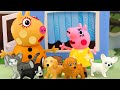 Museum Exhibit Escaped Mummy Skateboard Pets Decor Dr Suzy Best Friend Peppa Pig Animation