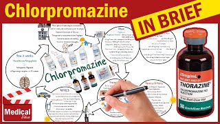 Chlorpromazine Hydrochloride ( Thorazine ): What is Chlorpromazine Uses, Dosage & Side Effects