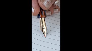 The Magna Carta Mag 600 True Flex Nib Fountain Pen Will Dance Its Way Into Your Heart