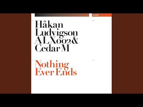 Nothing Ever Ends (Cedar M Version)