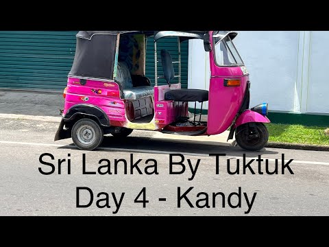 Sri Lanka By Tuktuk - Day 4 - We found monkeys in Kandy!