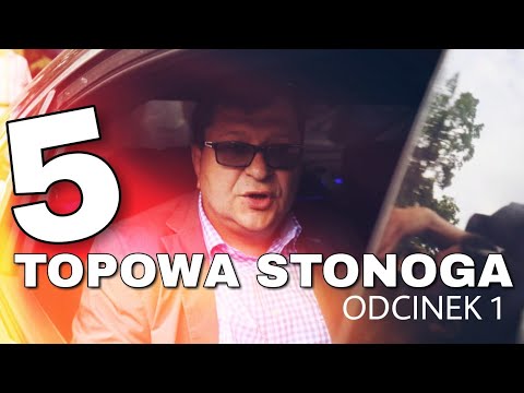 TOPOWA STONOGA - Odcinek 1 (TOP 5 Remixów Zbigniewa Stonogi)