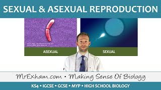 Sexual and Asexual Reproduction -  GCSE Biology (9-1)