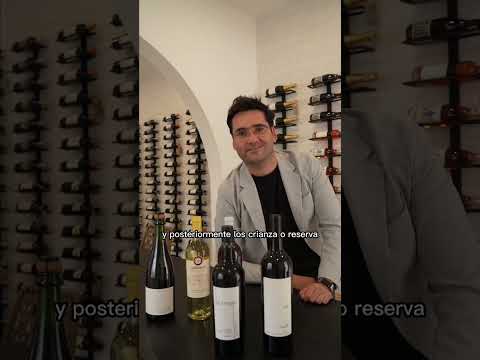 Temperatura del vino 🍷 - ¿Qué tan frío servirlos? #shorts #wine #sommelier #viral #winelover