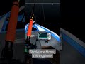 Shark Farming Fishingplanet