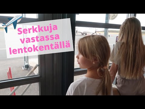 TÄTÄ ON ODOTETTU | LASTEN SERKUT ON TÄÄLLÄ 🥰