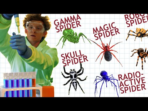 When different Radioactive Spiders bite Peter Parker...(Spider-Man)