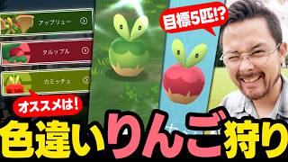 色違いカジッチュ狩り！ノルマは5匹！？収穫祭イベント開始！分岐はコレ！タスクも注目！ハーブルアー祭りで加速だ！！【ポケモンGO】