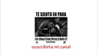 Liro Shaq El Sofoke Ft Ceky Viciny &amp; Bulin 47 – Te Siento En Para