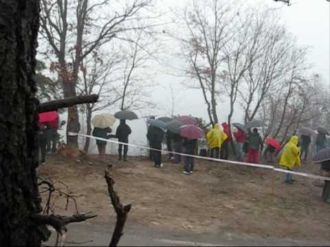 Traversi Cirio Mario