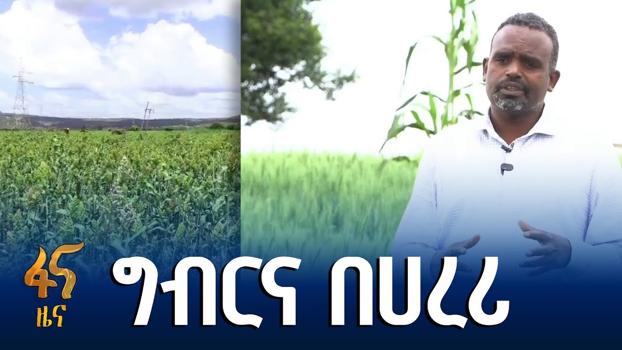 ግብርና ምርታማነት በሀረሪ ክልል