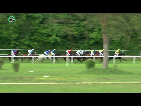 BA 23.4. Dostihy 6 - Veľká cena primátora Bratislavy - Cena trojročných žrebcov