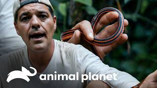 Thumbnail del capítulo