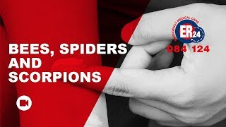 ER24: HOW TO TREAT COMMON BITES AND STINGS
