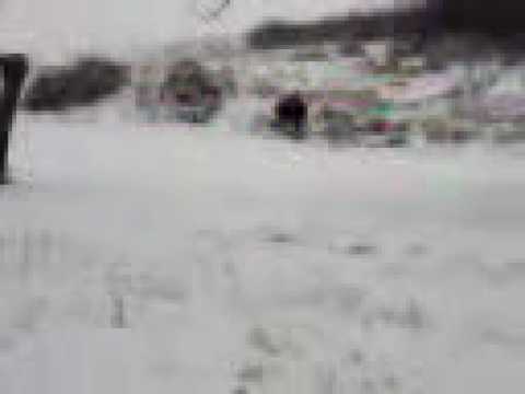 cu sania in cernesti