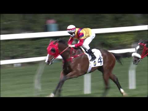 27/1/2021 (377) Ever Force - Z Purton