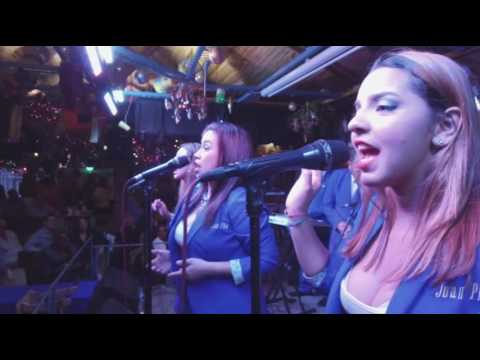 Juan Piña - La Rama del Tamarindo (En Vivo)