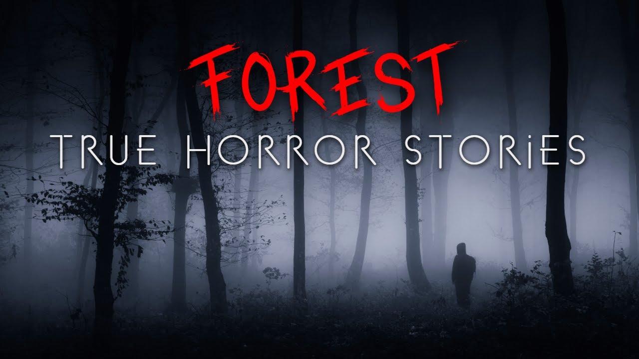 3 True Deep Forest at Night Horror Stories