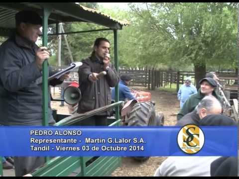 Martin G. Lalor S.A. - Nota Pedro Alonso - Tandil - 03/10/2014
