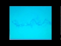 the black dog - clan.flv 