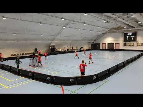 P11SKL1 Welhot Wings - Apassit punainen