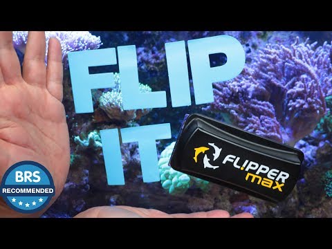 It’s BRS Recommended - The Flipper magnetic aquarium glass cleaners!