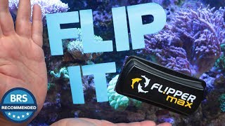It’s BRS Recommend - The Flipper magnetic aquarium glass cleaners!