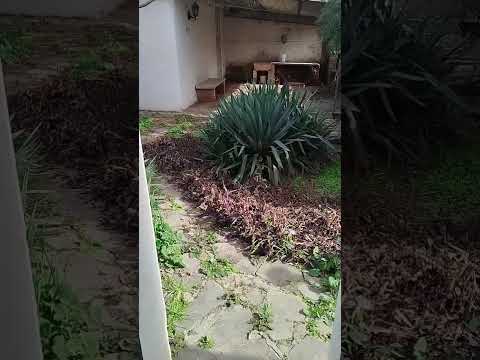 VID 20260901 WA00361