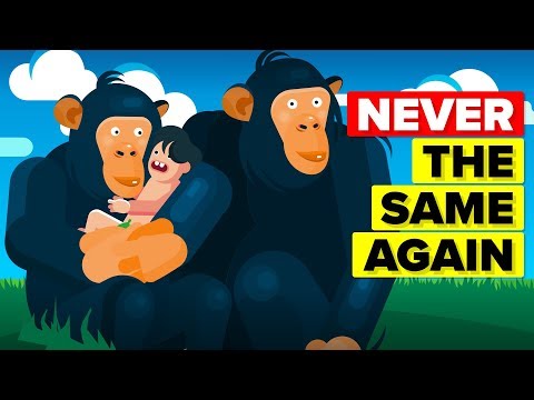 These Were The Most Important Events In The History of the Earth