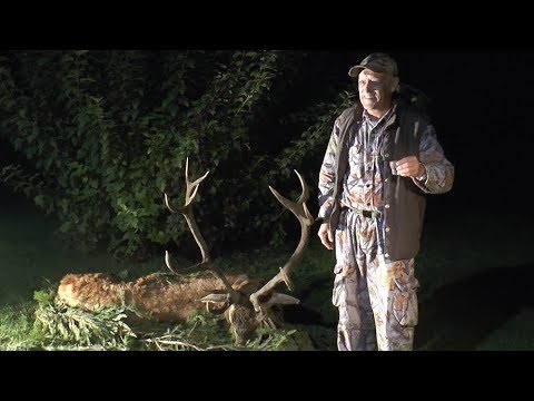 Ein Traum wird in Masuren wahr!