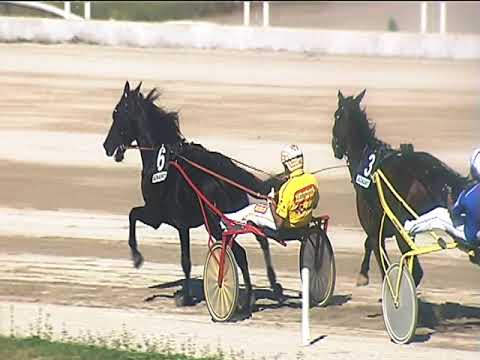 Trotto 09/10/2018 - 1ª corsa