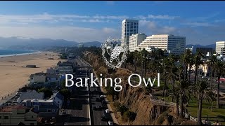 Barking Owl - LA Office Tour