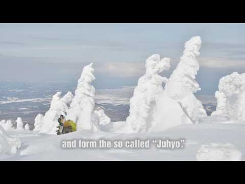 八甲田の樹氷編
