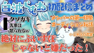 ぶいすぽ努力枠!FPSつよつよ新人・白波らむねのオーディション秘話など初配信切り抜きまとめ!自己紹介/メンバーの第一印象/ぶいすぽ加入理由【ぶいすぽっ!切り抜き】