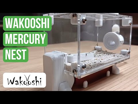 WaKooshi Mercury Nest Review