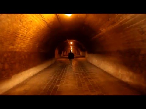 Mueran Humanos - Mi Auto