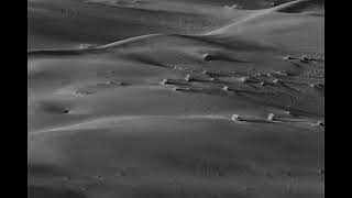 No Point in Living - Desert