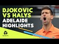 Novak Djokovic vs Quentin Halys | Adelaide 2022 Highlights