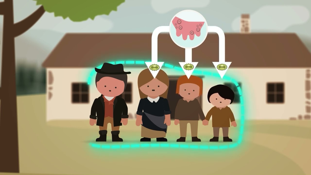 Geschiedenis van vaccinatie: Pokkenvaccins