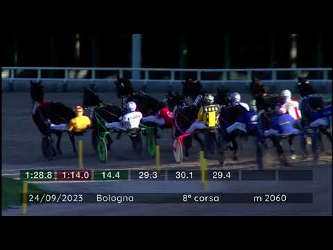 2023 09 24 | Corsa 8 | Metri 2060 | Premio Gran Premio Continentale - Trofeo Tomaso Grassi Tqq