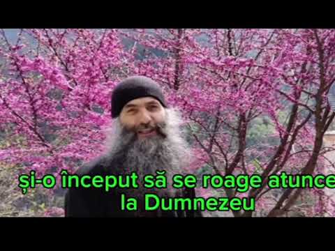 Minunea de la Izvorul Tămăduirii - Parintele Pimen Vlad #dumnezeu #ortodox