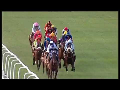 2018.07.28 eLAN Gold Cup (RSA) - It's My Turn