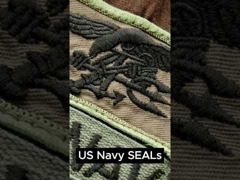 Birth of the US Navy SEALs #shorts