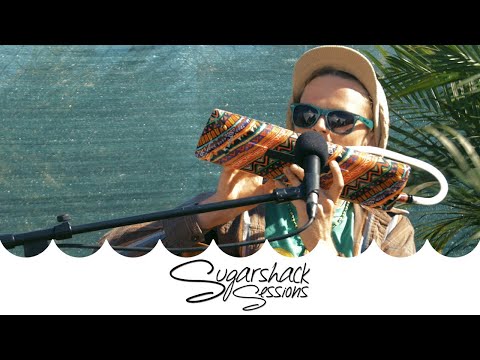 TreeHouse!  - Prayer for the Day (Live Acoustic) | Sugarshack Sessions